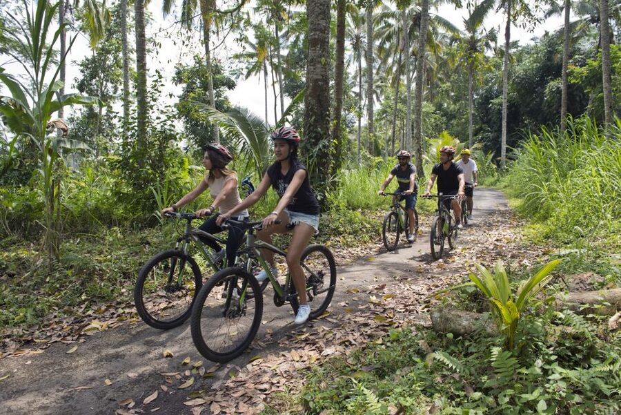 Bali: Mount Batur Mountain Biking Adventure with Lunch - Who This Mountain Biking Adventure Is For