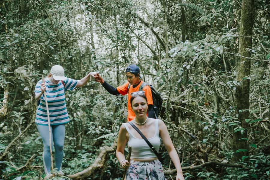 Bali: Munduk Waterfalls Trek, Twin Lakes and Temple Tour - Twin Lakes viewpoint and the rainforest trek that sets the tone