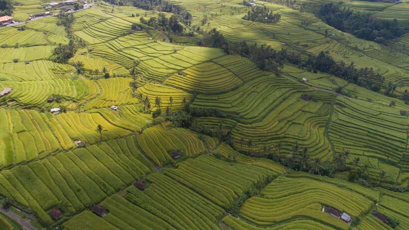 Bali: North Bali Customizable itineraries Trip with Transfer - Banyumala Waterfalls: where swimming turns the day from pretty to fun