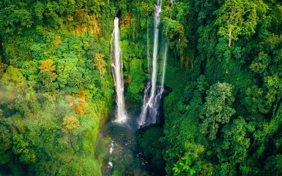 Bali: North Highlights Private Full-Day Customized Tour - Price and value for a 10-hour private day from $36