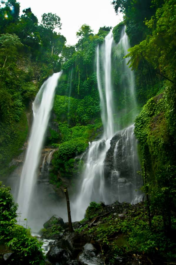 Bali Northern Trip : Majestic Waterfall Tour - Bali Northern Trip: what this day is really like