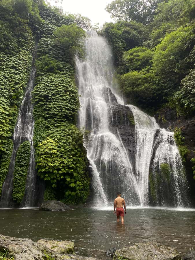 Bali Northern Trip : Majestic Waterfall Tour - Pickup from your hotel, then the north Bali scenery starts