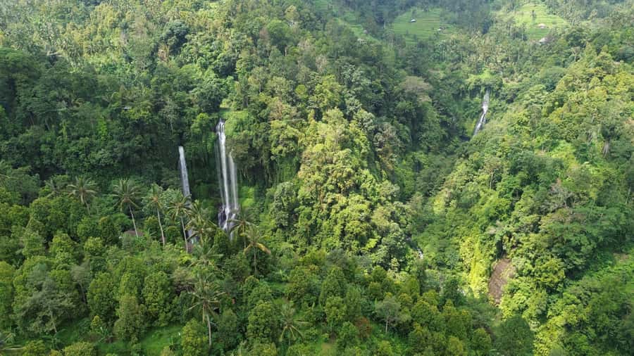 Bali Northern Trip : Majestic Waterfall Tour - Sekumpul Waterfall: the highest fall with a natural slide