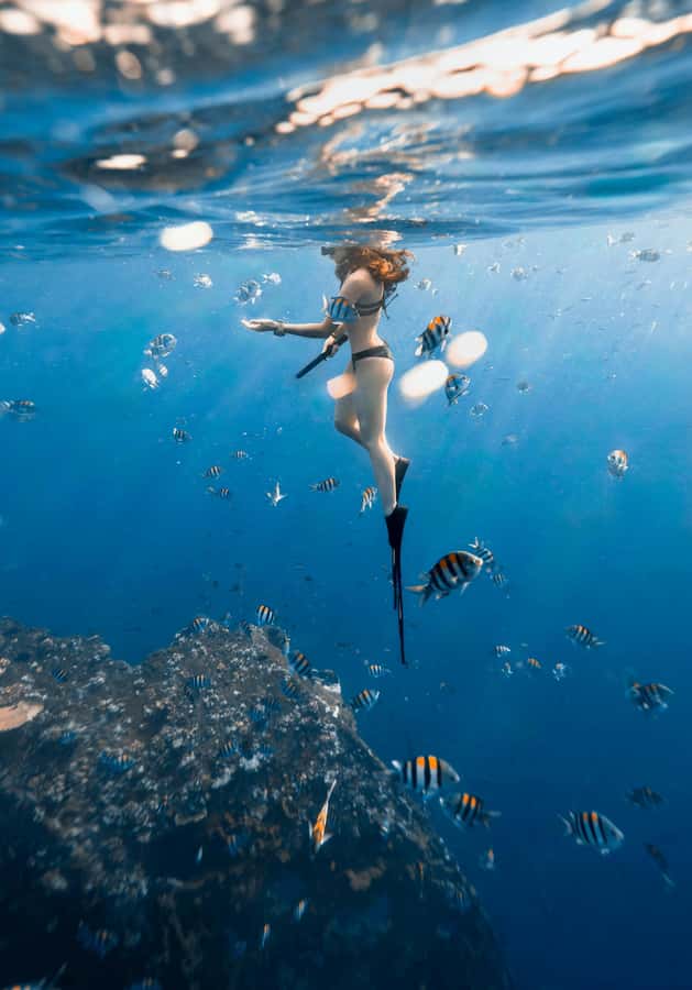 Bali/Nusa Dua: Snorkeling, Glass Boat Ride & Turtle Center - My Booking Decision: Should You Go?