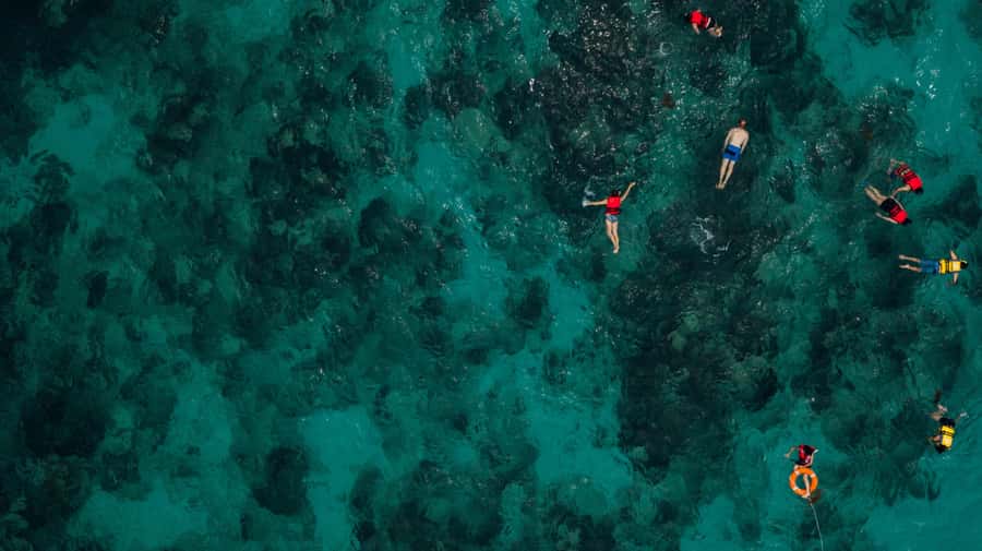 Bali/Nusa Dua: Snorkeling, Glass Boat Ride & Turtle Center - The Short Speed Transfer and Moving Between Stops