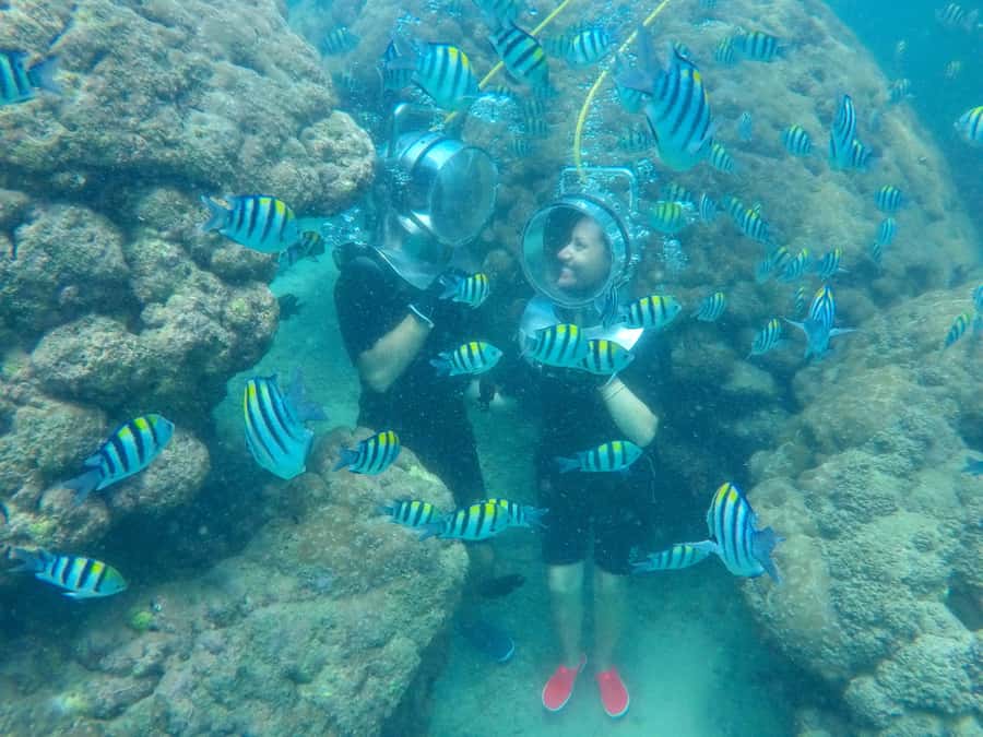 Bali: Nusa Dua Underwater Sea Walking Experience - Sea walking in Nusa Dua, the real point of the experience