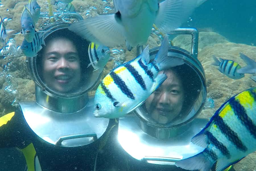 Bali: Nusa Dua Underwater Sea Walking Experience - Walking the seafloor: what your 15 minutes feels like