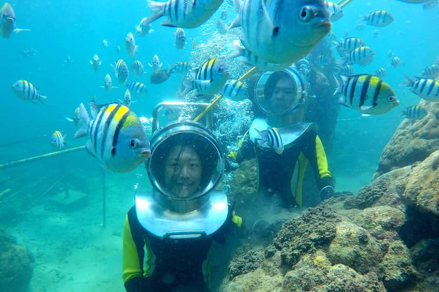 Bali: Nusa Dua Underwater Sea Walking Experience - The guide factor: why Gelgel and the team change the whole mood