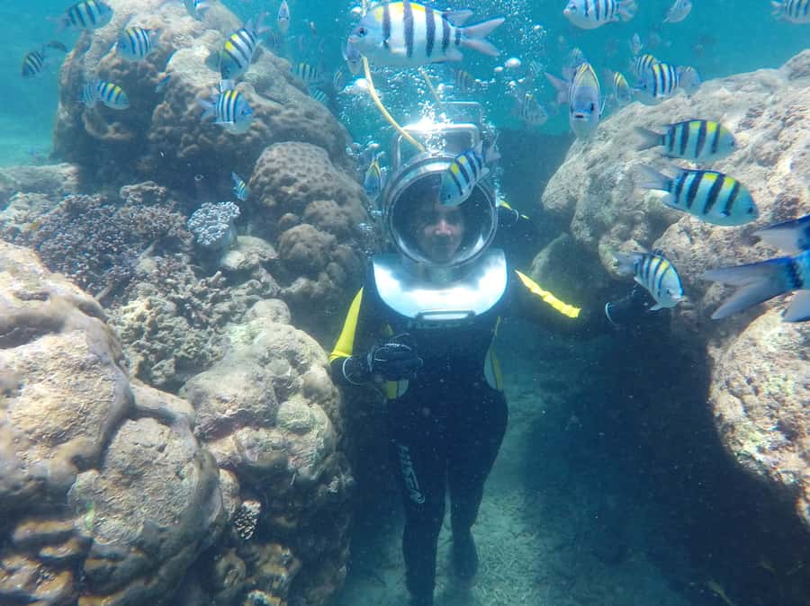 Bali: Nusa Dua Underwater Sea Walking Experience - Who this fits best, and who should skip it