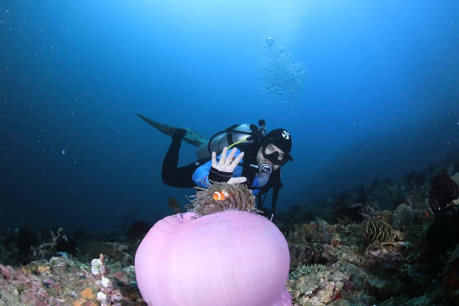 Bali/Nusa Penida: 3 Fun Dives to Manta Point, Mola & Reef - Crystal Bay: the reef stop that keeps things lively