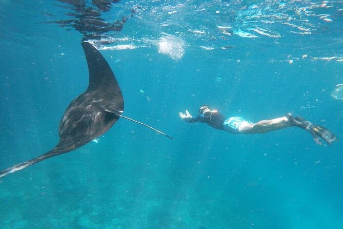 Bali Nusa Penida and Private Snorkeling (Manta Bay, Gamat, Wall) - Key points before you go