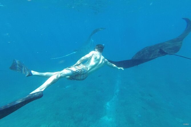 Bali Nusa Penida and Private Snorkeling (Manta Bay, Gamat, Wall) - Manta Bay snorkeling: what the timing gets you