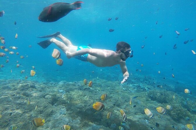 Bali Nusa Penida and Private Snorkeling (Manta Bay, Gamat, Wall) - Gamat Bay: more reef time, different water vibe