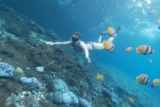 Bali Nusa Penida and Private Snorkeling (Manta Bay, Gamat, Wall) - Private boat feel: why this day can feel like VIP service