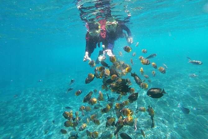 Bali Nusa Penida and Private Snorkeling (Manta Bay, Gamat, Wall) - Lunch and basics: what you get without extra shopping stops