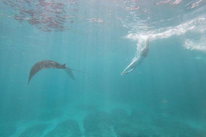 Bali Nusa Penida and Private Snorkeling (Manta Bay, Gamat, Wall) - The land stops: Kelingking, Angel Billabong, and Pasih Uug