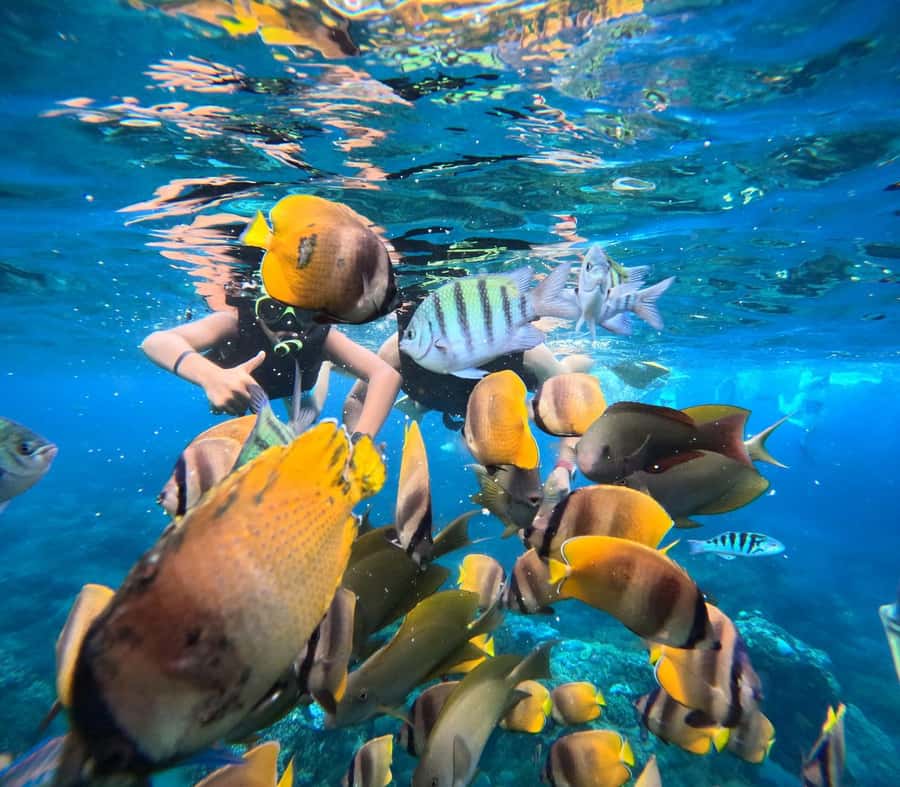 Bali: Nusa Penida Full-Day Trip with Snorkeling - Key points you’ll care about