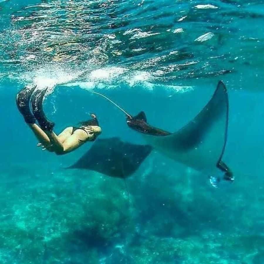 Bali: Nusa Penida Full-Day Trip with Snorkeling - How the Day Moves From South Bali to Nusa Penida