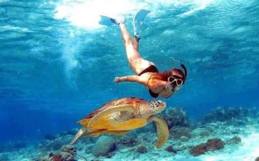 Bali: Nusa Penida Full-Day Trip with Snorkeling - What You See After the Boat: Private Car Land Tour