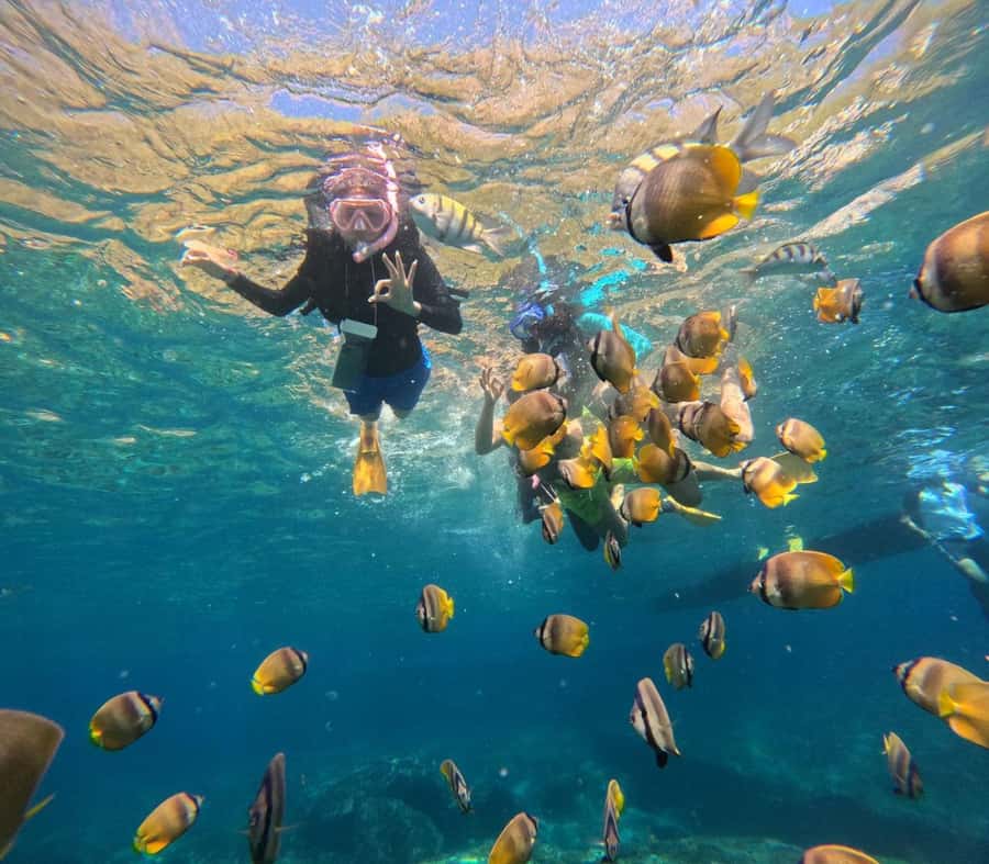 Bali: Nusa Penida Full-Day Trip with Snorkeling - Kelingking Beach: The Cliff Stop You’ll Remember