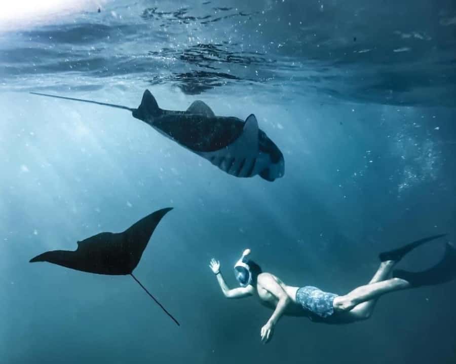 Bali: Nusa Penida Full-Day Trip with Snorkeling - Angel’s Billabong: A Rock Formation Worth the Camera Time