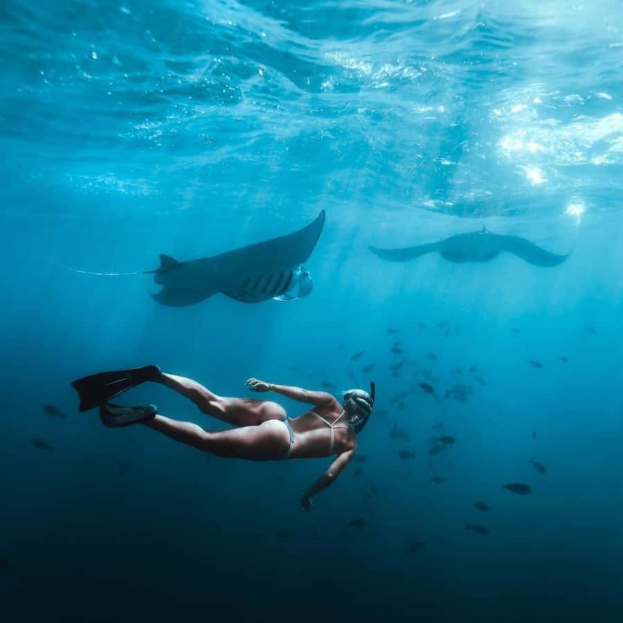 Bali: Nusa Penida Full-Day Trip with Snorkeling - Snorkeling Plan: Three Bays and a Real Shot at Manta Rays