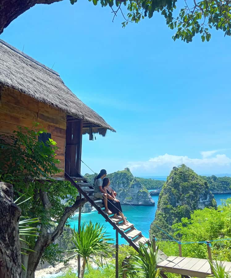 Bali/Nusa Penida: Highlights Private Car Full Day Trip - Who this private car tour suits best