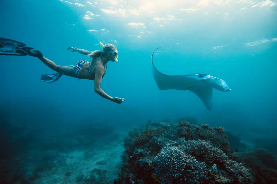 Bali/Nusa Penida: Manta Point Snorkel Boat & West Coast Tour - Key things worth knowing before you go