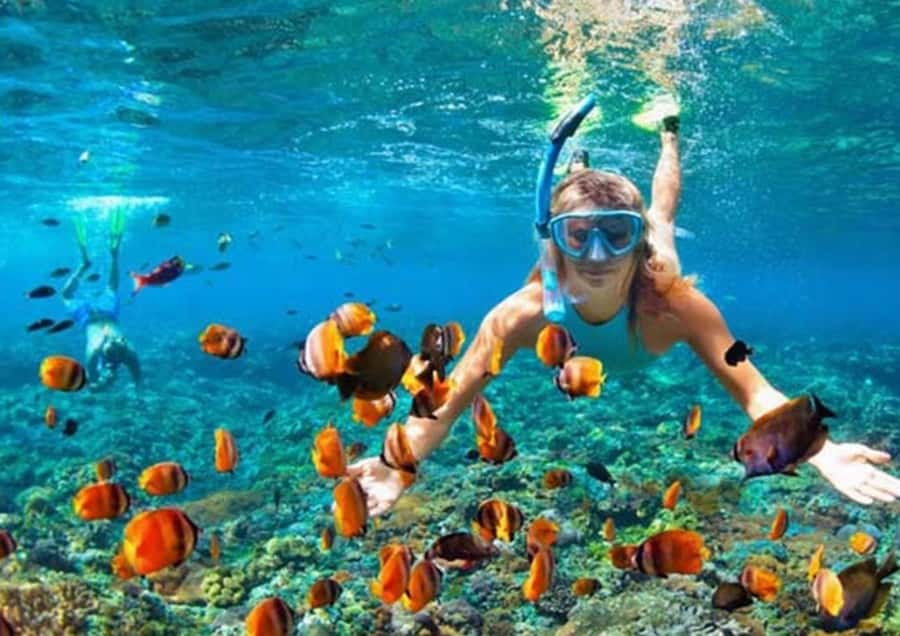 Bali/Nusa Penida: Manta Point Snorkel Boat & West Coast Tour - How the west coast tour is paced from viewpoints