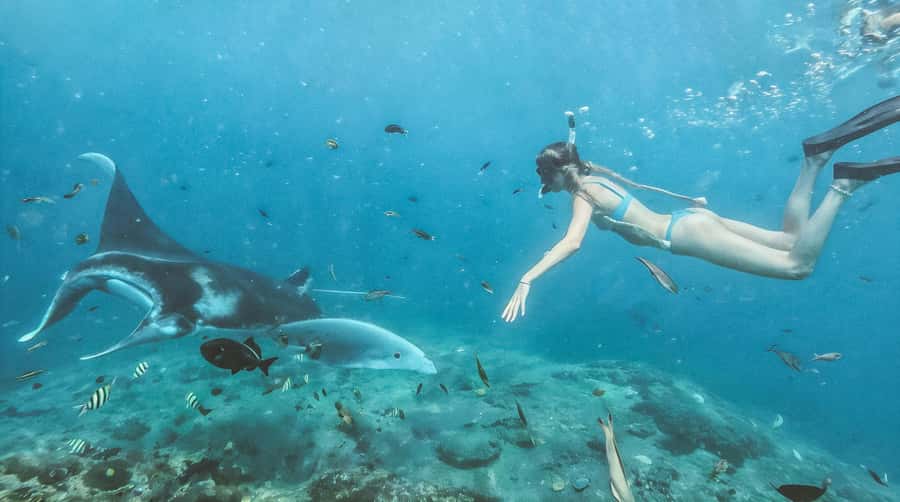 Bali/Nusa Penida: Manta Point Snorkeling & West Coast Tour - Key things to know before you go