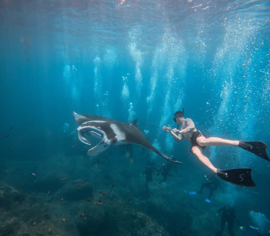 Bali/Nusa Penida: Manta Point Snorkeling & West Coast Tour - Should you book this Manta Point snorkeling and West Coast tour?