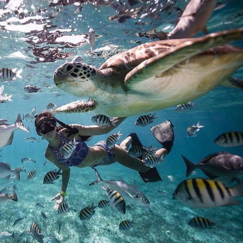 Bali: Nusa Penida Manta Snorkeling Tour & Beach Club Access - Key Points at a Glance