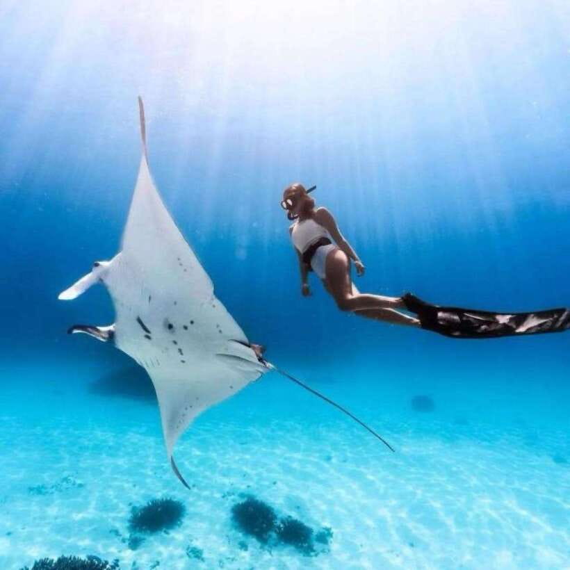 Bali: Nusa Penida Manta Snorkeling Tour & Beach Club Access - Why Manta Point and Gamat Bay Make This Tour Click