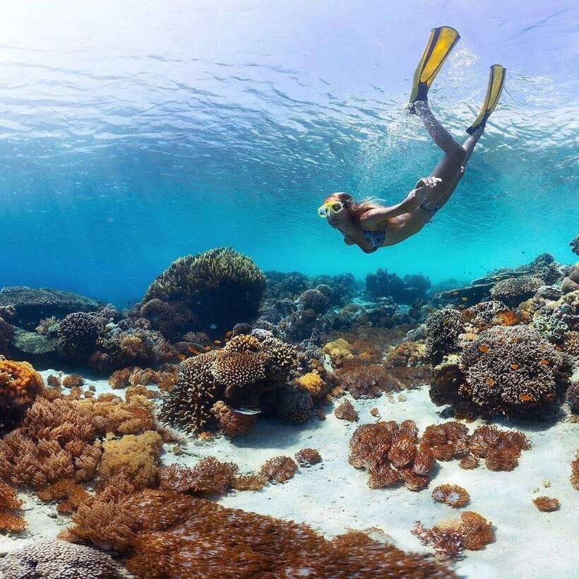 Bali: Nusa Penida Manta Snorkeling Tour & Beach Club Access - Manta Point Snorkeling: The Main Event in 90 Minutes