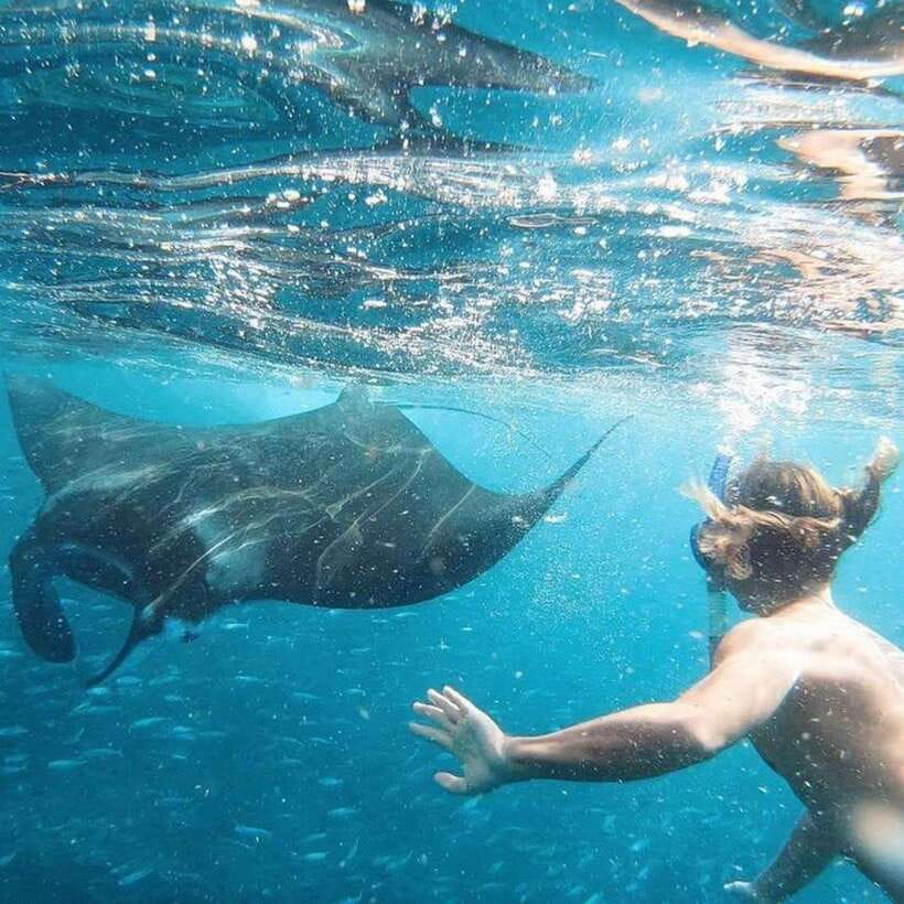 Bali: Nusa Penida Manta Snorkeling Tour & Beach Club Access - Gamat Bay: Another Hour to See More Marine Life