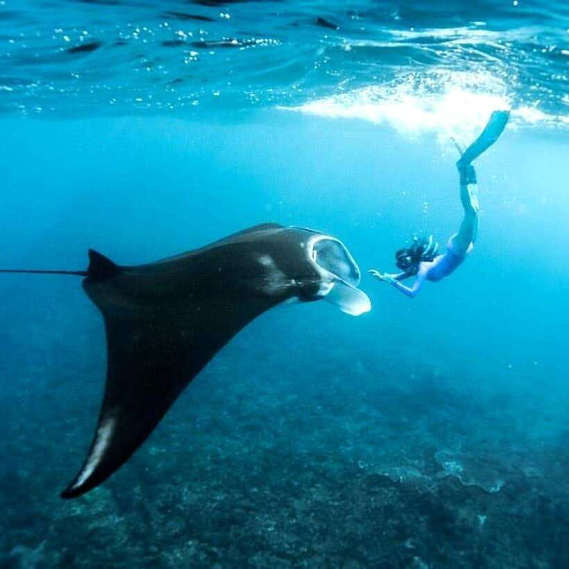 Bali: Nusa Penida Manta Snorkeling Tour & Beach Club Access - Getting There From Bali: Pickup Optional, Fast Boat Included