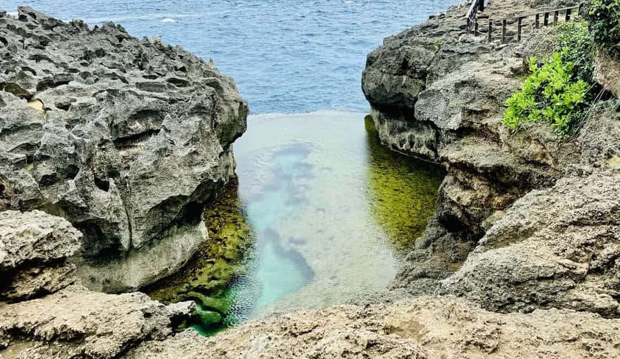 Bali: Nusa Penida: Private West Coast Excursion Full Package - Key highlights that matter on this Nusa Penida tour