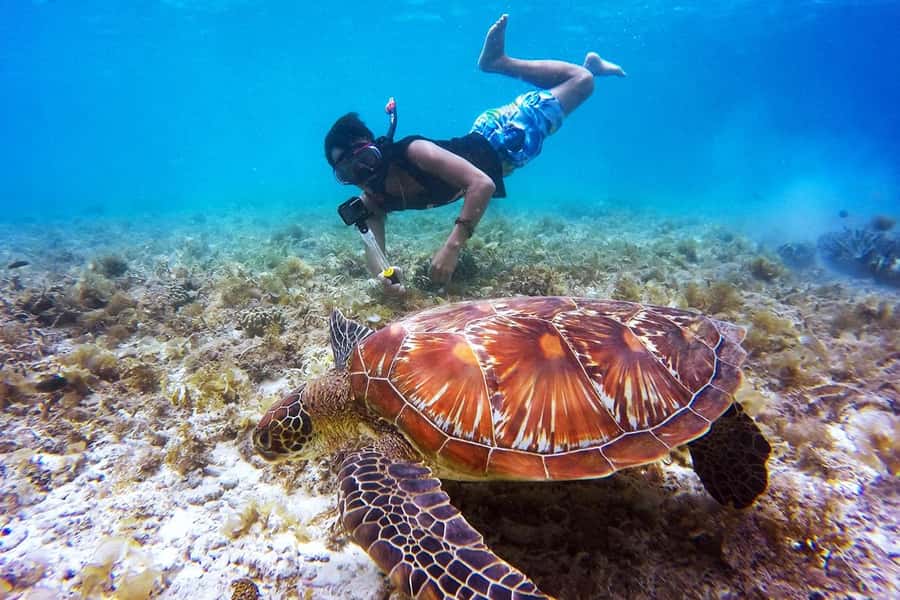Bali: Nusa Penida Speedboat Trip with Snorkeling and Tour - Serangan check-in, coffee, and a speedboat day that starts on land