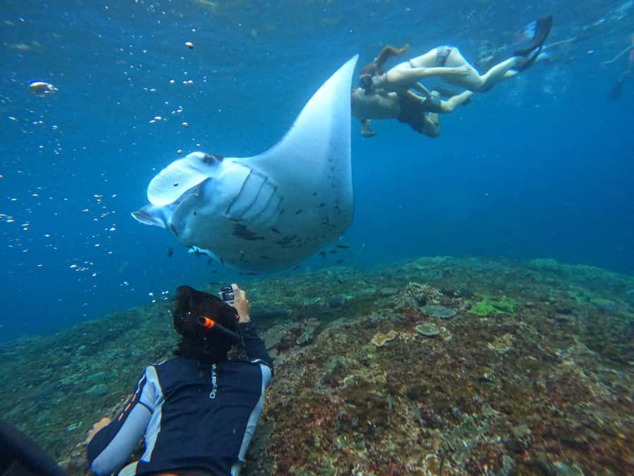 Bali: Nusa Penida Tour with Lunch & Manta Point Snorkeling - Snorkeling basics: safety briefing, gear, showers, and Go-Pro photos