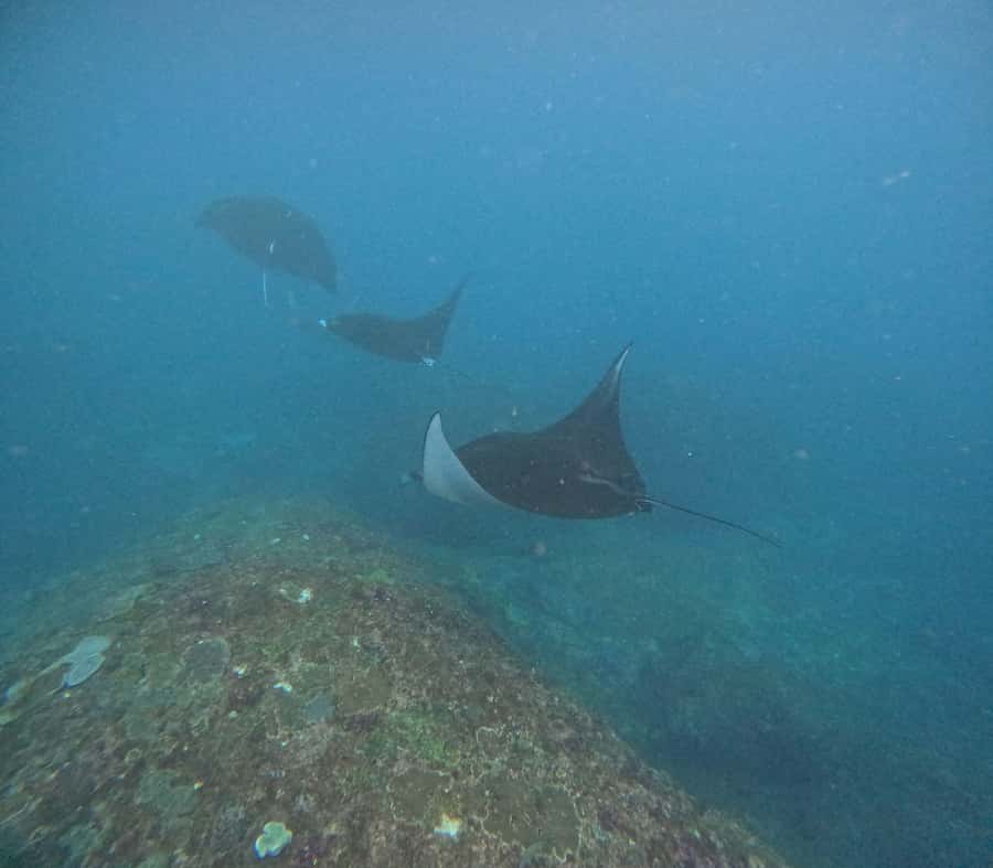 Bali: Nusa Penida Tour with Lunch & Manta Point Snorkeling - Pasih Uug (Broken Beach) and Angel Billabong natural pool photo stops