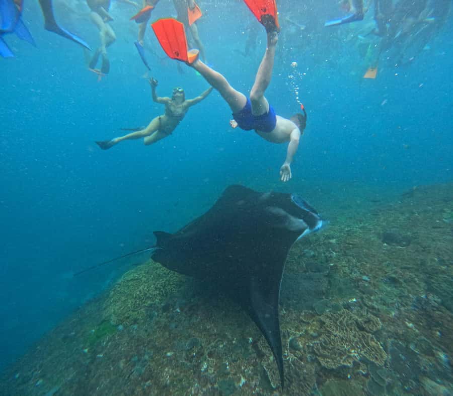 Bali: Nusa Penida Tour with Lunch & Manta Point Snorkeling - Kelingking Beach viewpoints: the last big wow shot