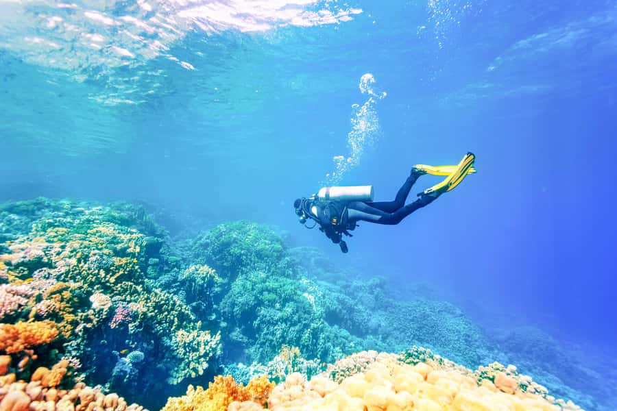 Bali: Padangbai Blue Lagoon Beginner's Dive Experience - Your 8-hour plan, from hotel pickup to two underwater sessions