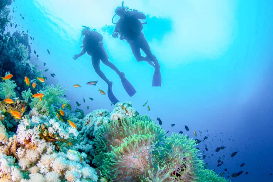 Bali: Padangbai Blue Lagoon Beginner's Dive Experience - Learning scuba essentials in shallow water, with room to breathe