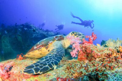 Padangbai Blue Lagoon Beginner’s Dive Experience