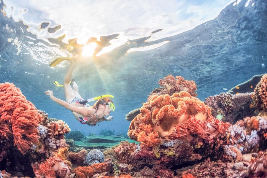 Bali: Padangbai Blue Lagoon Snorkeling Day Trip - Who this trip fits best, and who should skip it