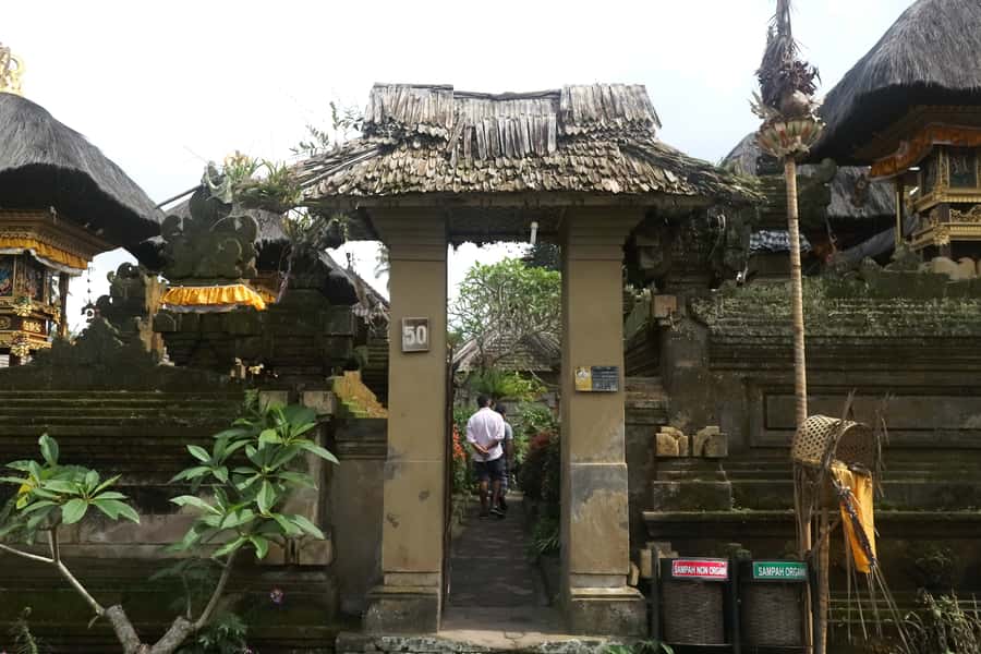Bali: Penglipuran Village, Rice Terrace & Waterfall Tour - Jungle Swing at Tegalalang: Adrenaline, Queues, and Photo Timing