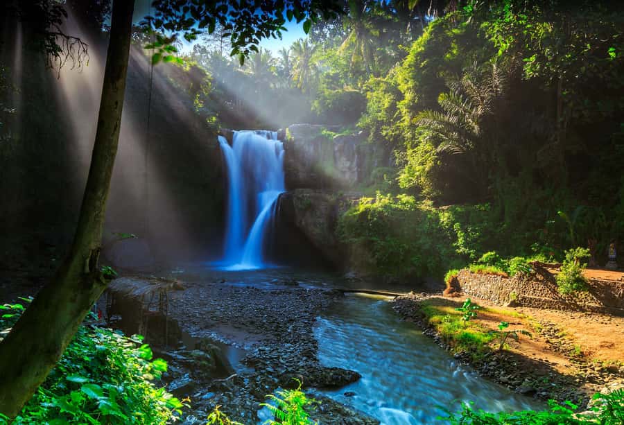 Bali: Penglipuran Village, Rice Terrace & Waterfall Tour - Choose Your Route: 4 Ways to Build the Perfect 2 to 8 Hours