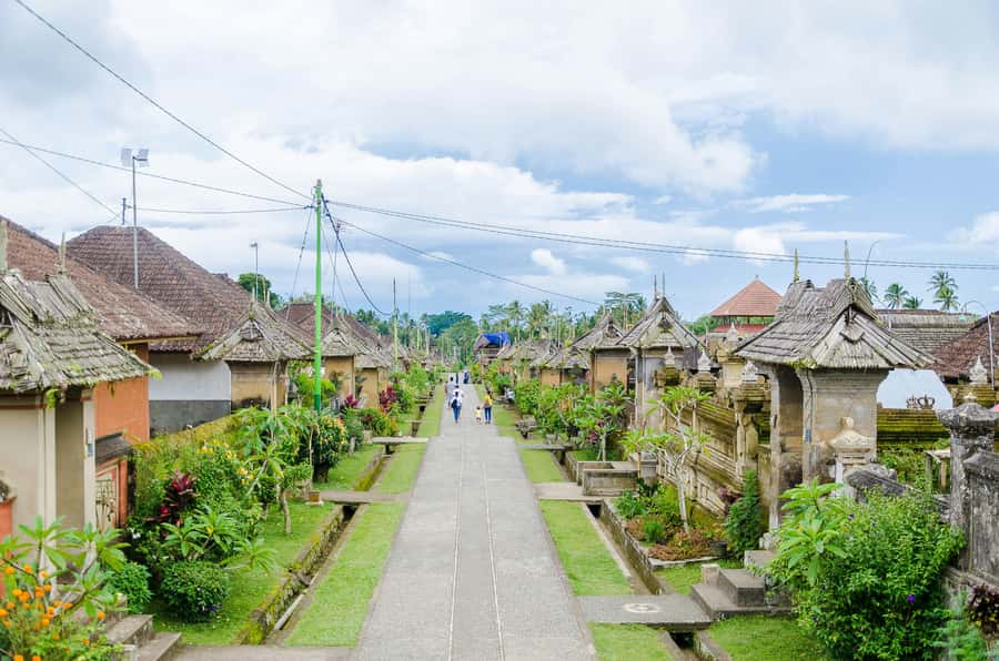 Bali: Penglipuran Village, Tirta Empul & Ubud All Incusive - A private Bali day that mixes culture, water rituals, and photo stops