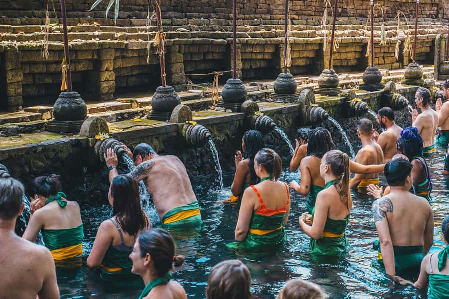Bali: Penglipuran Village, Tirta Empul & Ubud All Incusive - Tegalalang Rice Terrace walk, subak irrigation views you can actually connect