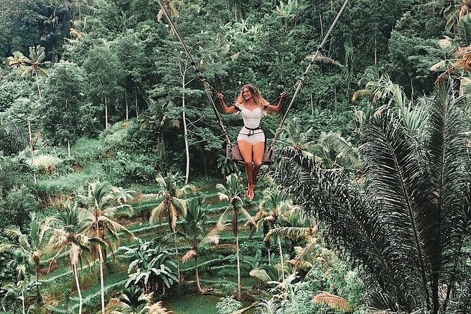 Bali Private Car Charter with English Speaking Driver Or Guide - Rice terraces and photo stops where your guide actually helps